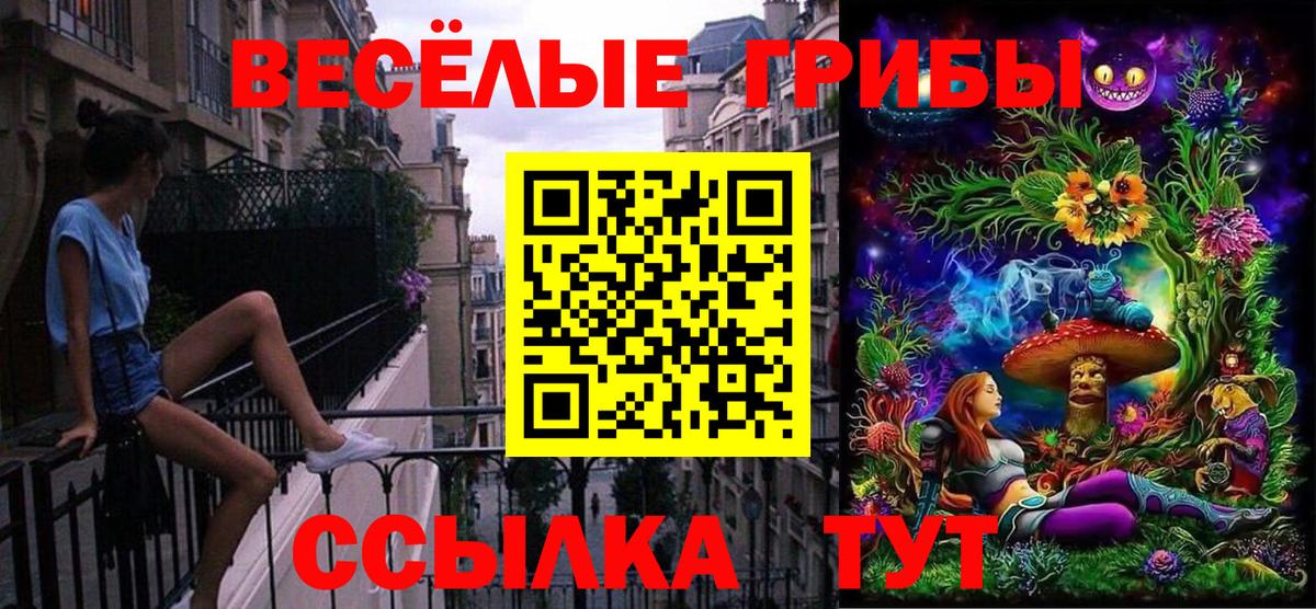 Галлюциногенные грибы ЛСД  закладка  Ирбит  Вход с VPN 